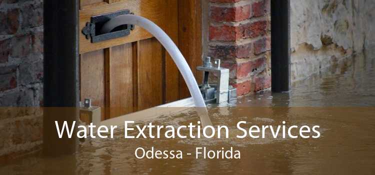 Water Extraction Services Odessa - Florida