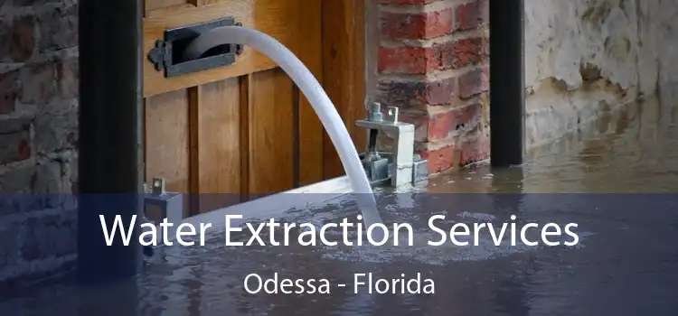 Water Extraction Services Odessa - Florida