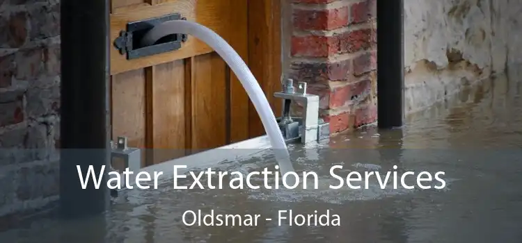 Water Extraction Services Oldsmar - Florida