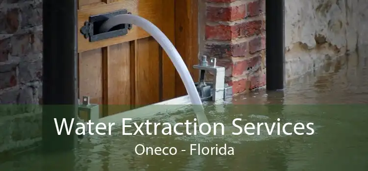 Water Extraction Services Oneco - Florida