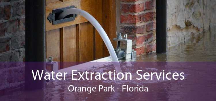 Water Extraction Services Orange Park - Florida