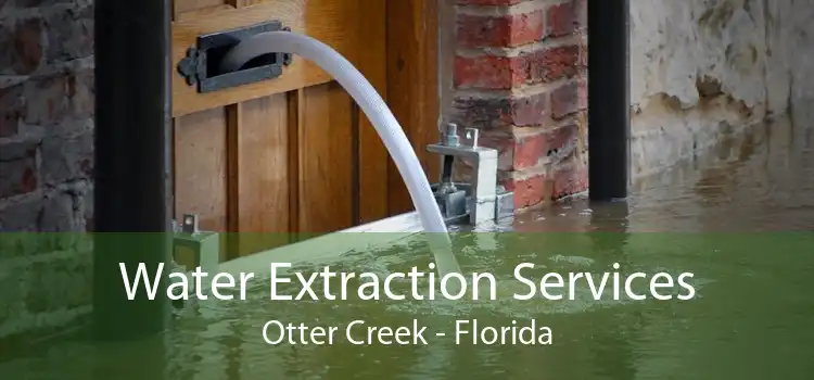 Water Extraction Services Otter Creek - Florida