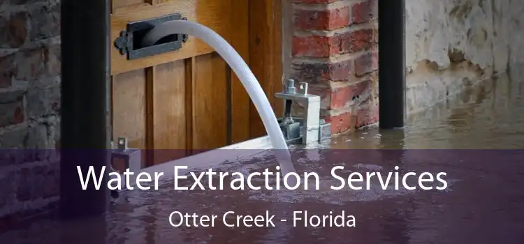 Water Extraction Services Otter Creek - Florida