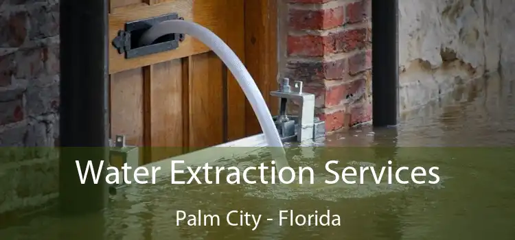 Water Extraction Services Palm City - Florida