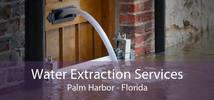 Water Extraction Services Palm Harbor - Florida
