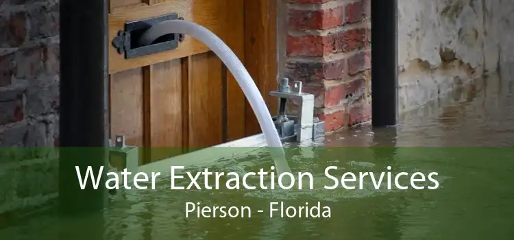 Water Extraction Services Pierson - Florida