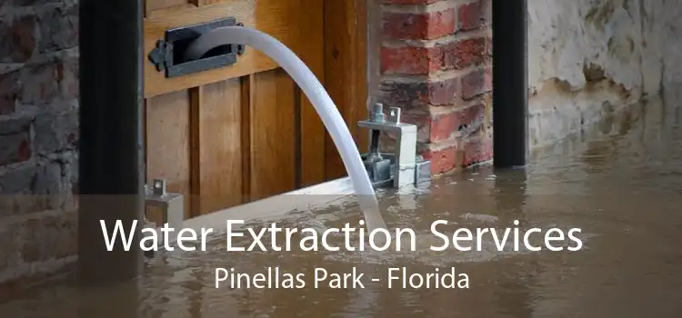 Water Extraction Services Pinellas Park - Florida