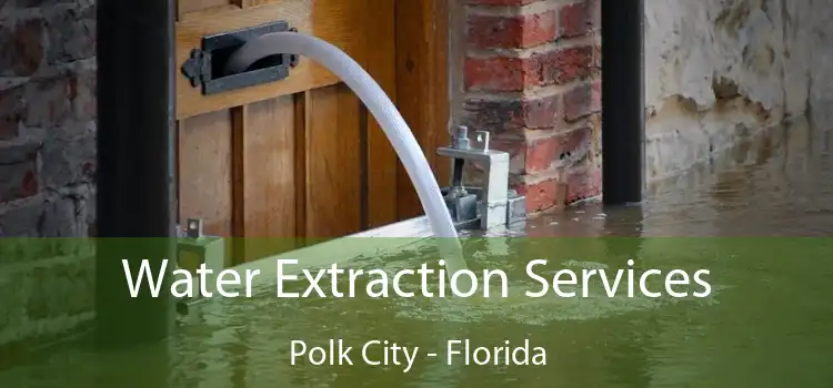 Water Extraction Services Polk City - Florida