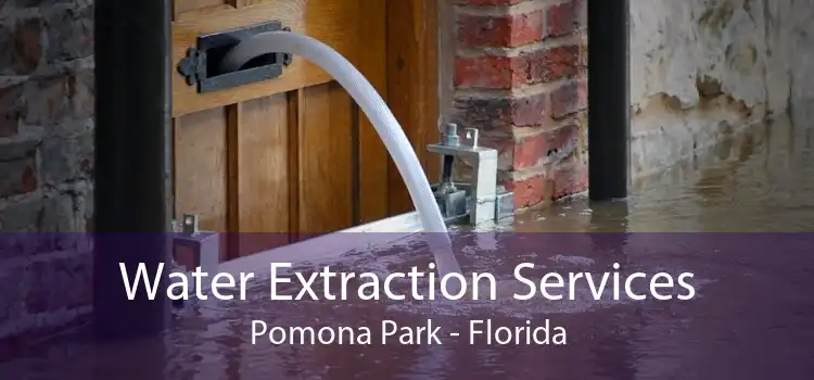 Water Extraction Services Pomona Park - Florida