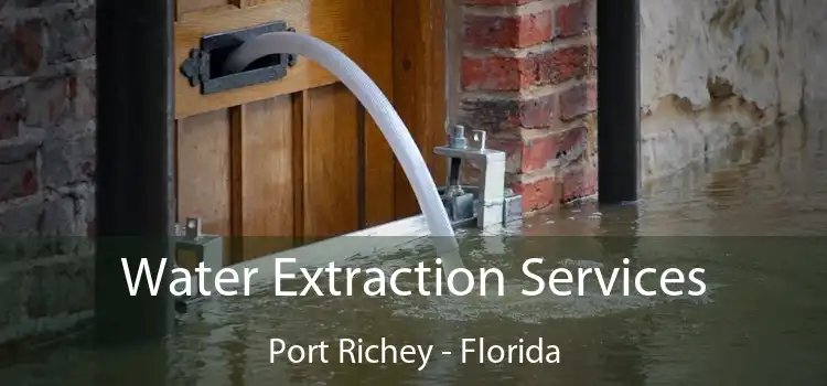 Water Extraction Services Port Richey - Florida