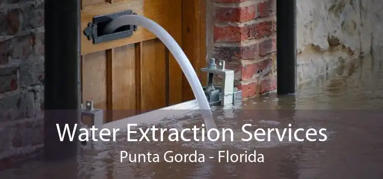 Water Extraction Services Punta Gorda - Florida
