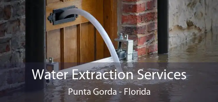 Water Extraction Services Punta Gorda - Florida