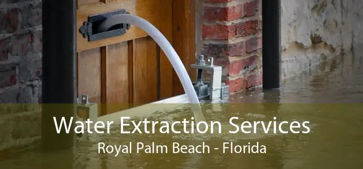 Water Extraction Services Royal Palm Beach - Florida