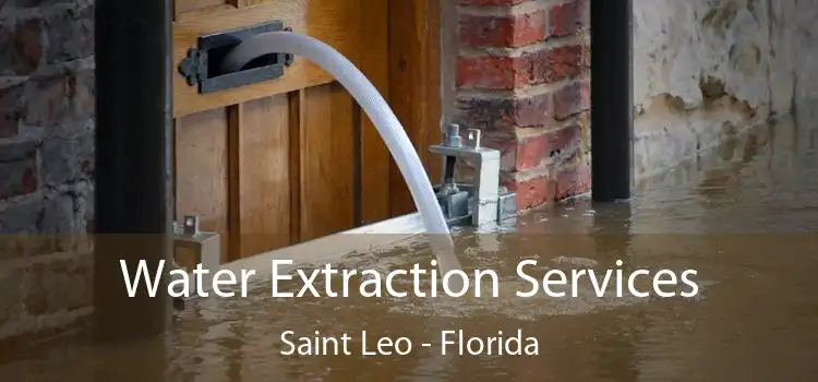 Water Extraction Services Saint Leo - Florida