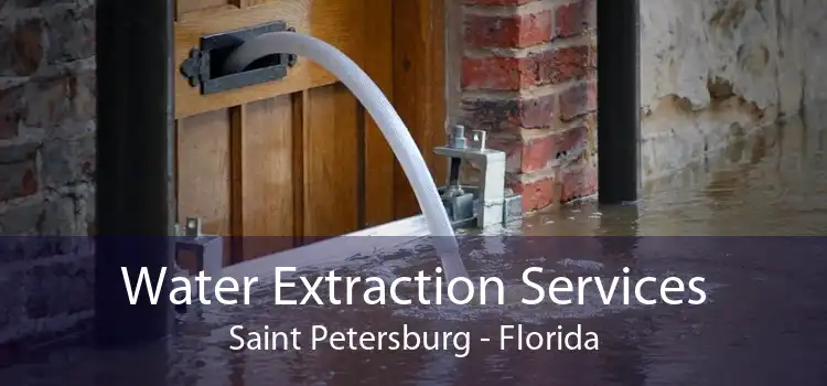 Water Extraction Services Saint Petersburg - Florida