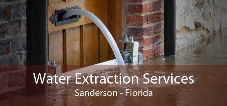 Water Extraction Services Sanderson - Florida