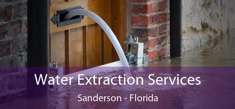 Water Extraction Services Sanderson - Florida