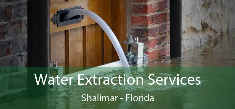 Water Extraction Services Shalimar - Florida