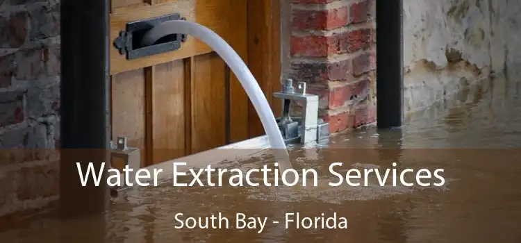 Water Extraction Services South Bay - Florida