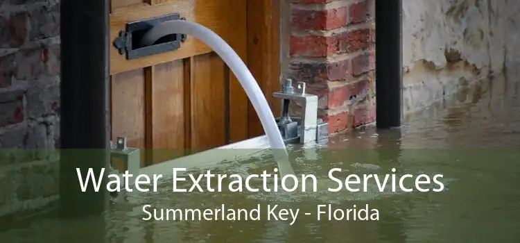 Water Extraction Services Summerland Key - Florida