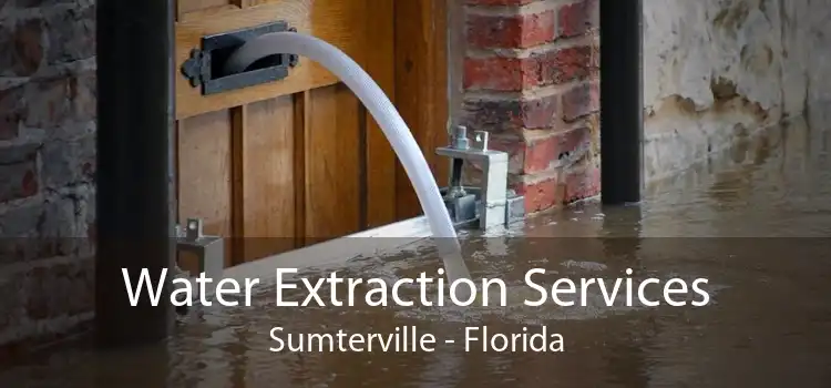 Water Extraction Services Sumterville - Florida