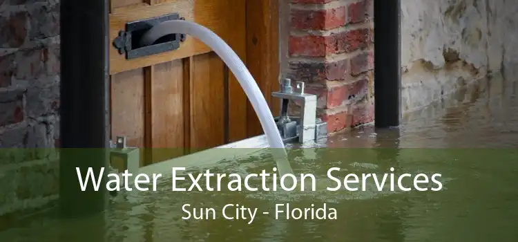 Water Extraction Services Sun City - Florida