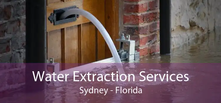 Water Extraction Services Sydney - Florida