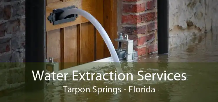 Water Extraction Services Tarpon Springs - Florida