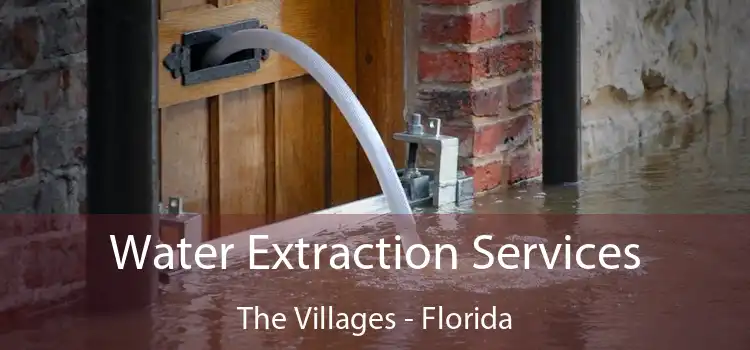 Water Extraction Services The Villages - Florida