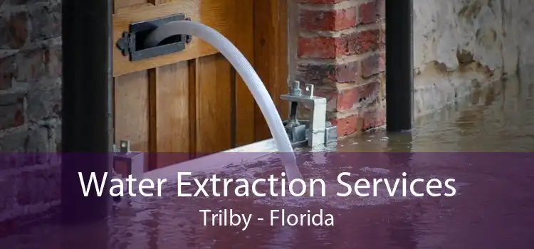 Water Extraction Services Trilby - Florida