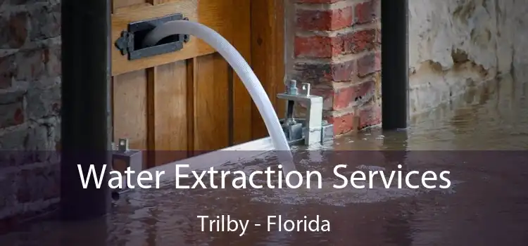 Water Extraction Services Trilby - Florida