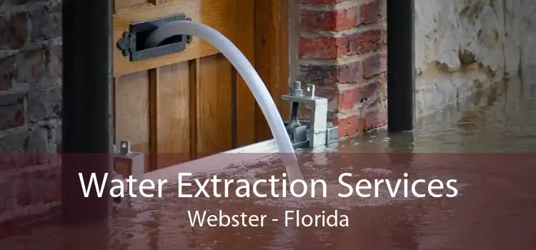 Water Extraction Services Webster - Florida