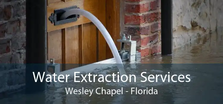 Water Extraction Services Wesley Chapel - Florida