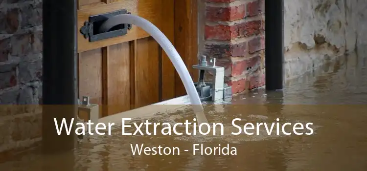 Water Extraction Services Weston - Florida