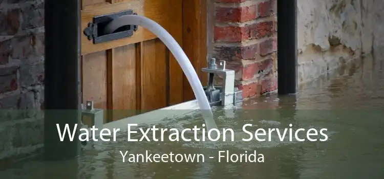 Water Extraction Services Yankeetown - Florida