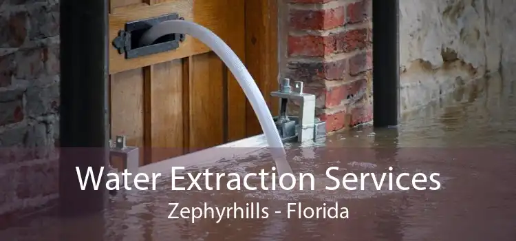 Water Extraction Services Zephyrhills - Florida